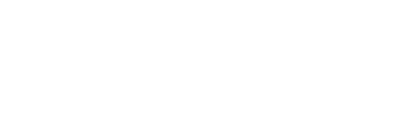 Domino Parkiety